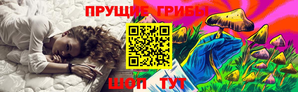 Братск  Псилоцибиновые грибы мицелий  Псилоцибиновые грибы GOLDEN TEACHER  Вход с VPN 