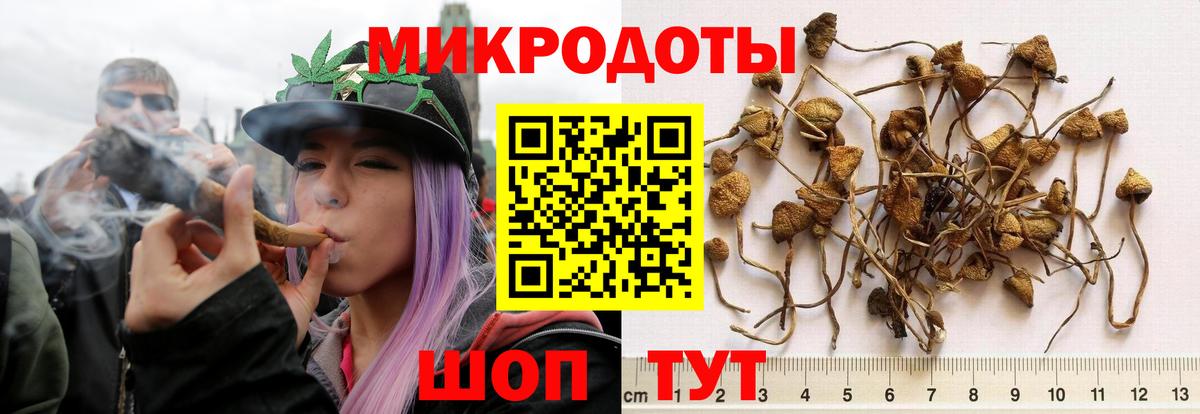 Галлюциногенные грибы ЛСД Братск